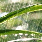 summer rain brings basement flooding