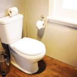 toilet-in-home
