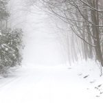snowy-winter-road-in-toronto